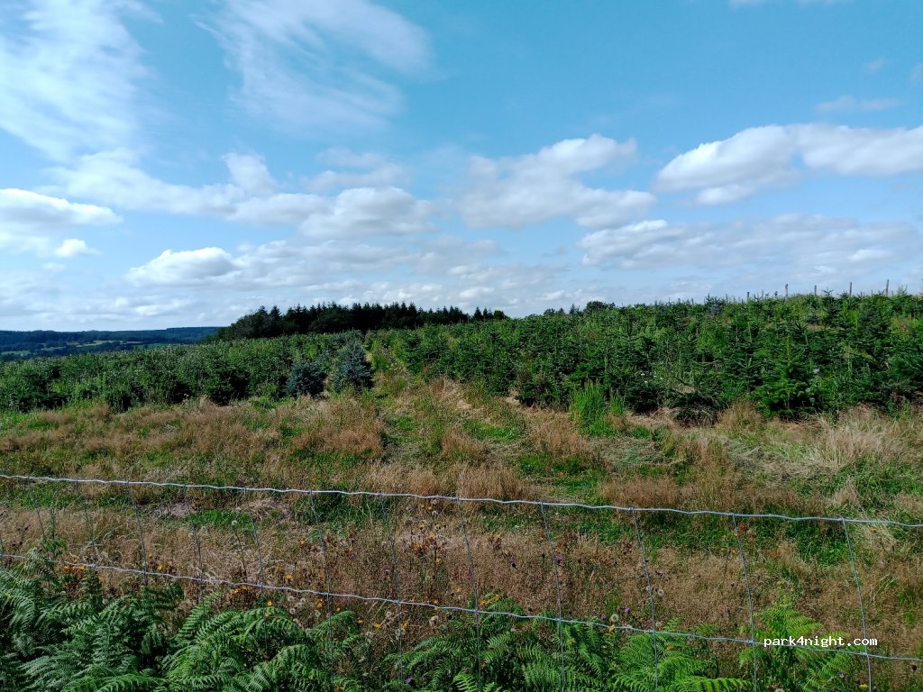 (21210) Champeau-en-Morvan - D106 — foto 2