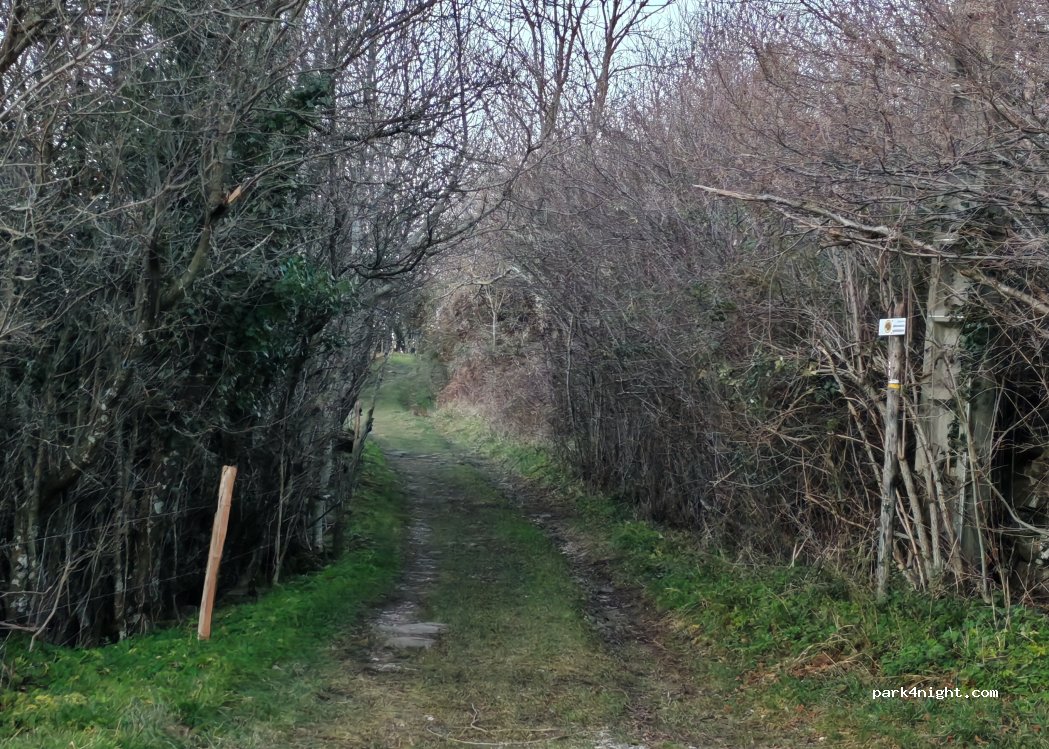 (07000) Saint-Étienne-de-Boulogne - Mas de Saledre — foto 4