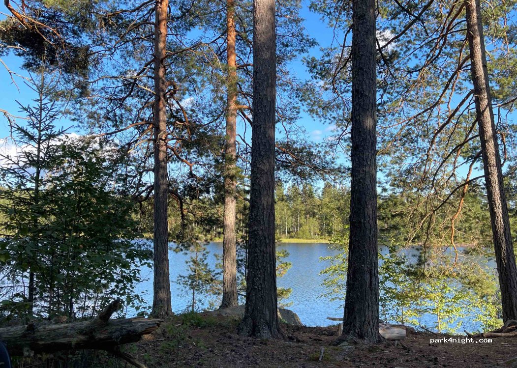 (670 10) Töcksfors - Unnamed Road — foto