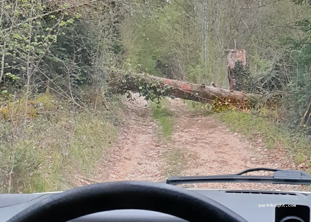 (39300) Bourg-de-Sirod - 454-870 Route de Syam — foto 4