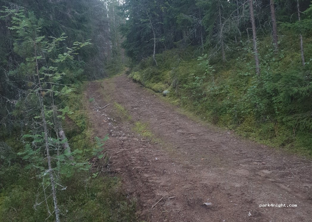 (777 93) Söderbärke - Andtjärnsvägen — foto