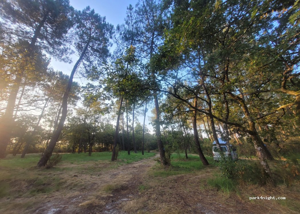 (33380) Marcheprime - 1 Rue de la Station — foto 4