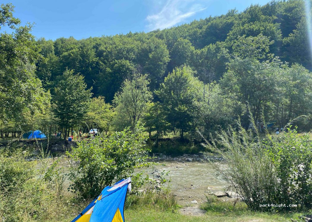 (107569) Seciuri - 46 DJ102I — foto