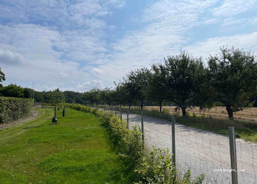 (49186) Bad Iburg - 1 Mäscher — foto