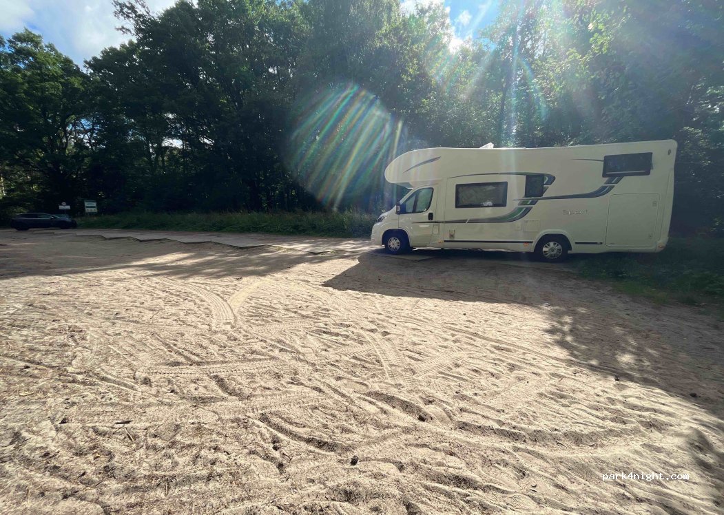 (10-687) Zazdrość - Droga Wojewódzka 598 — foto 4