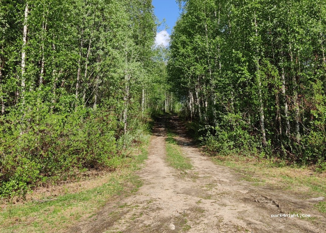 (97470) Kittilä - 3968 Rovaniementie — foto 3