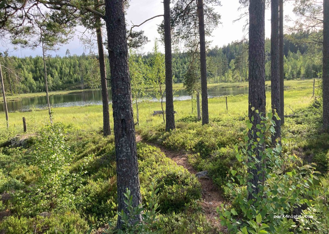 (680 96) Lesjöfors - 26 — foto 4
