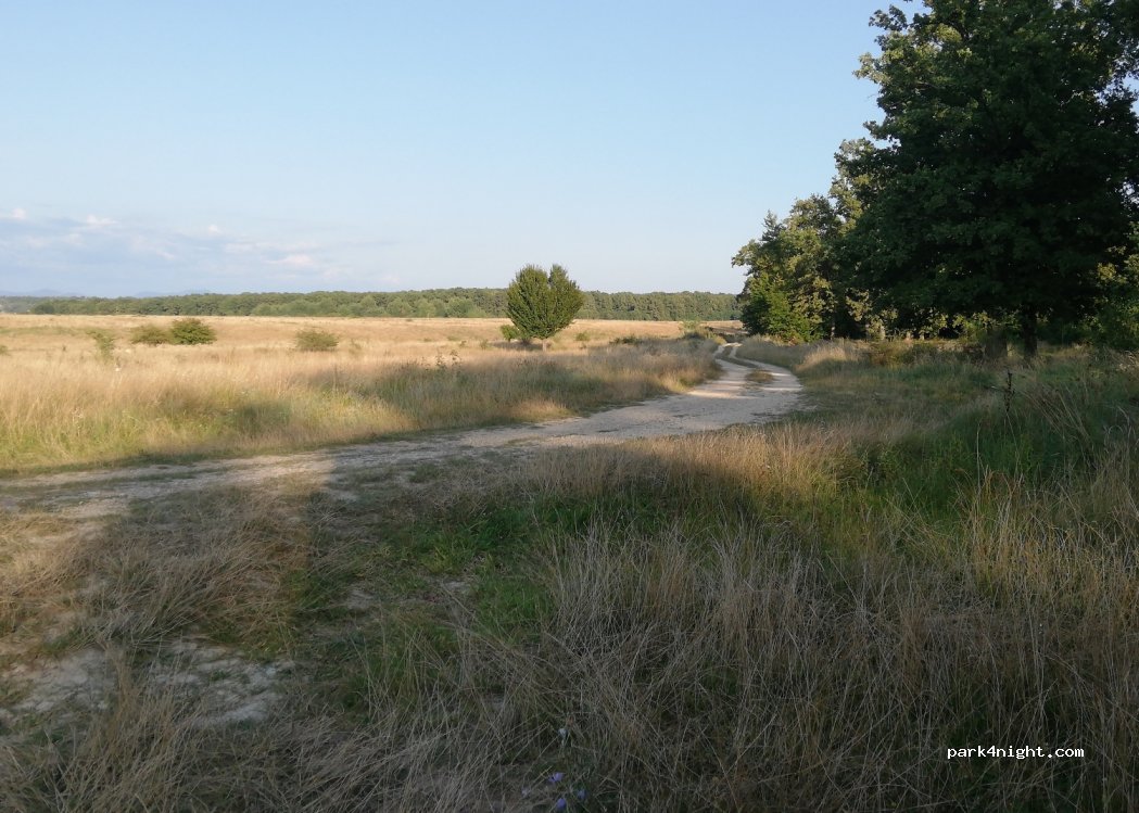 (437341) Finteușu Mare - Unnamed Road — foto