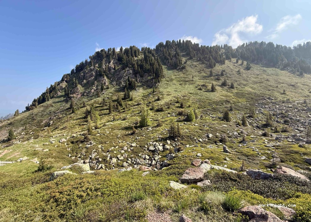 (38030) Telve - 32 Strada Provinciale 31 — foto