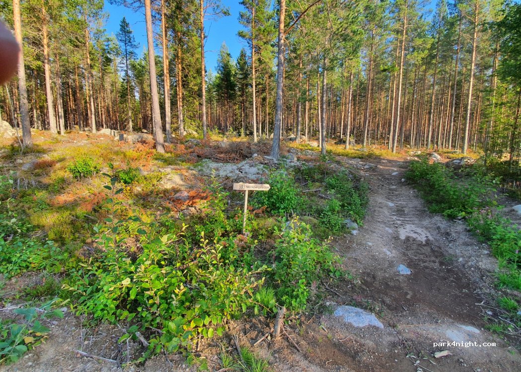 (820 40) Järvsö - Unnamed Road — foto