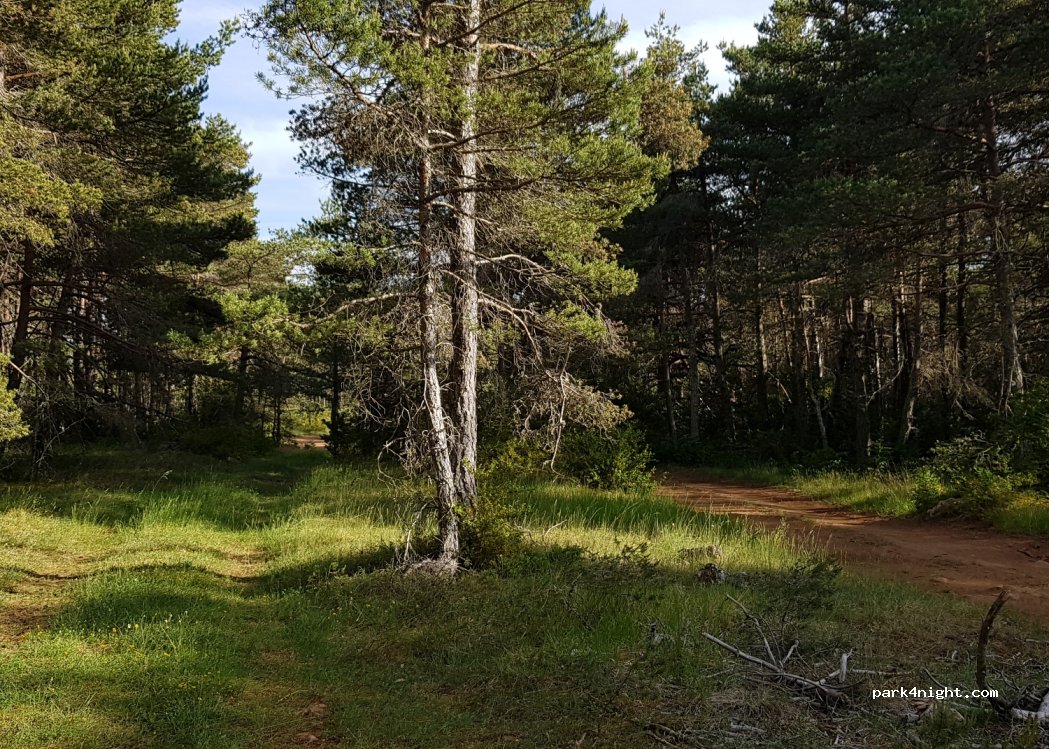 (48210) Massegros Causses Gorges - D16 — foto 3