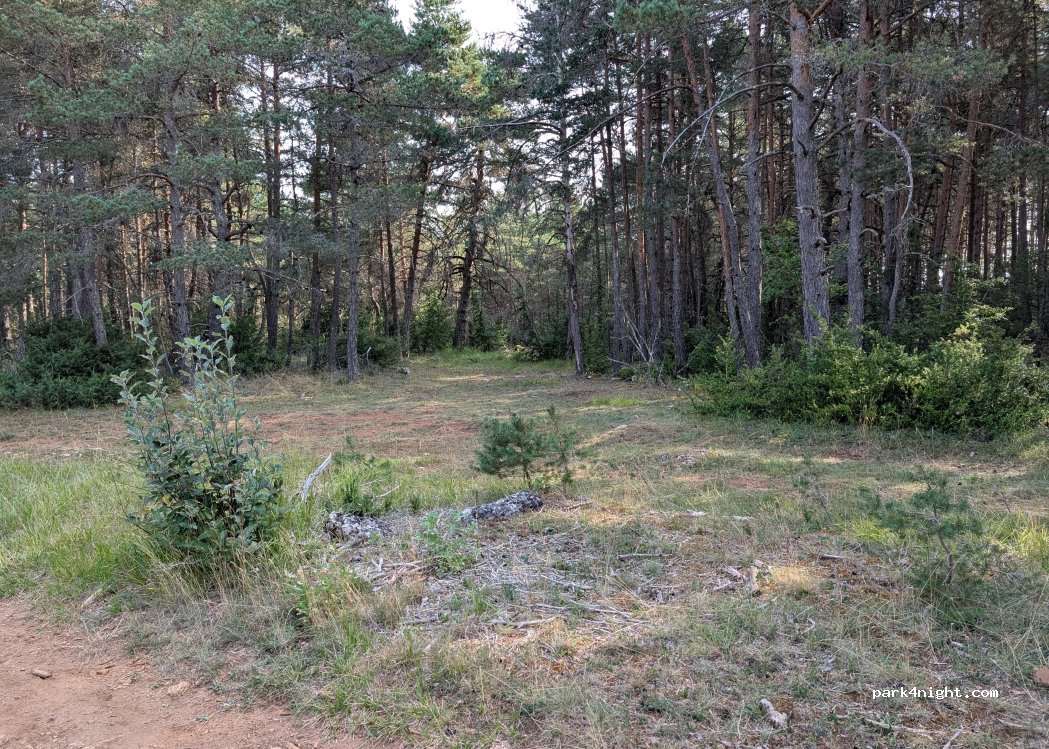 (48210) Massegros Causses Gorges - D16 — foto 4
