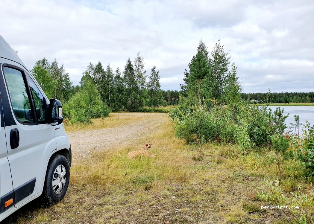 (980 61) Tärendö - 13 SAARISUANTO — foto 2