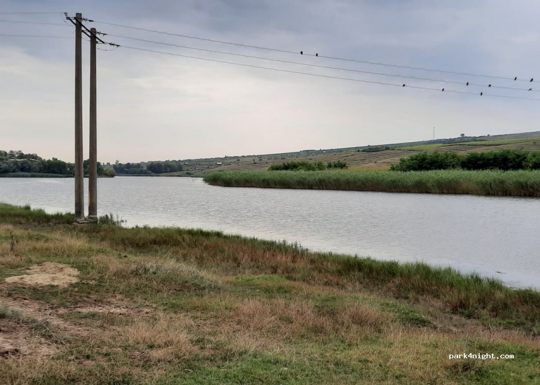 (707383) Cuza Vodă - Unnamed Road — foto
