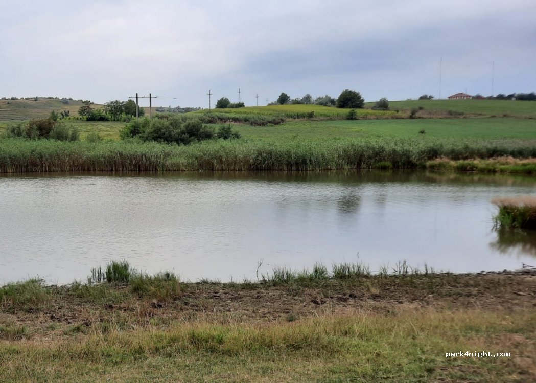 (707383) Cuza Vodă - Unnamed Road — foto 2