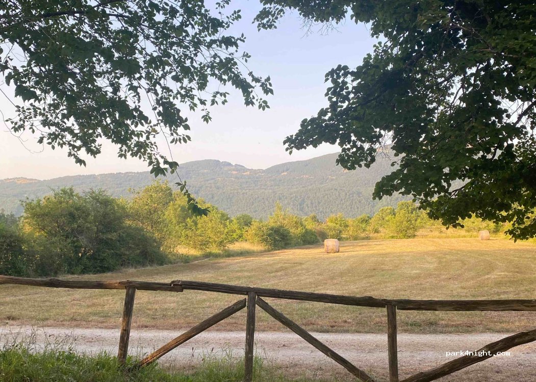 (86093) Carpinone - — foto 4