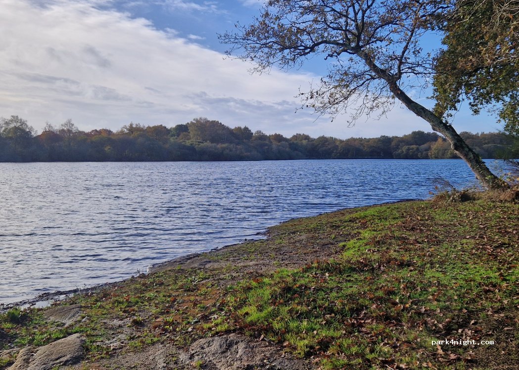 (44350) Guérande - Chemin de Brétineau — foto 4