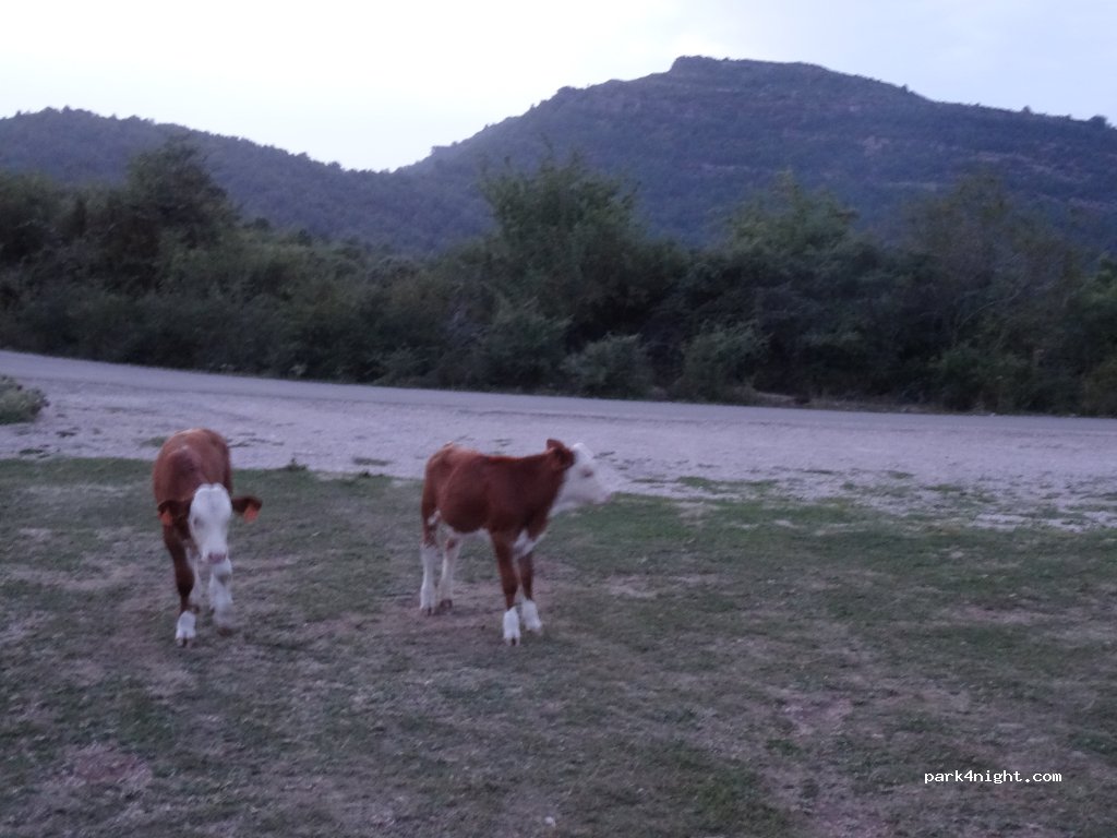 (22150) Nueno - Unnamed Road — foto 2