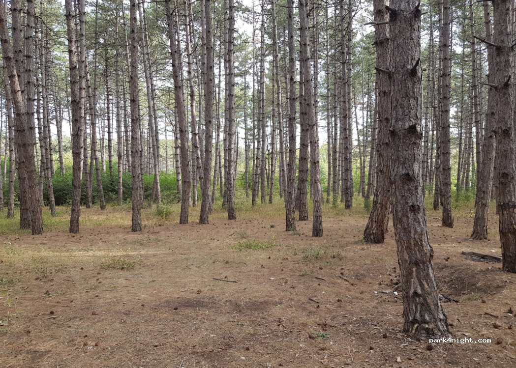 () Dedoplis Tskaro - Unnamed Road — foto