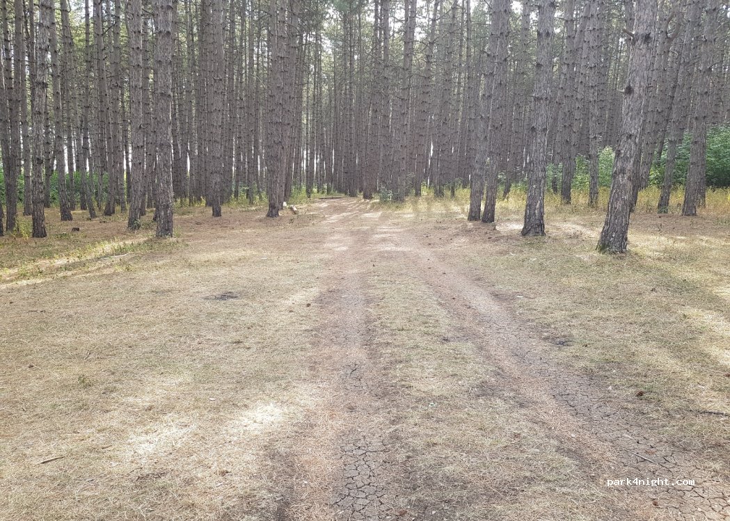 () Dedoplis Tskaro - Unnamed Road — foto 2