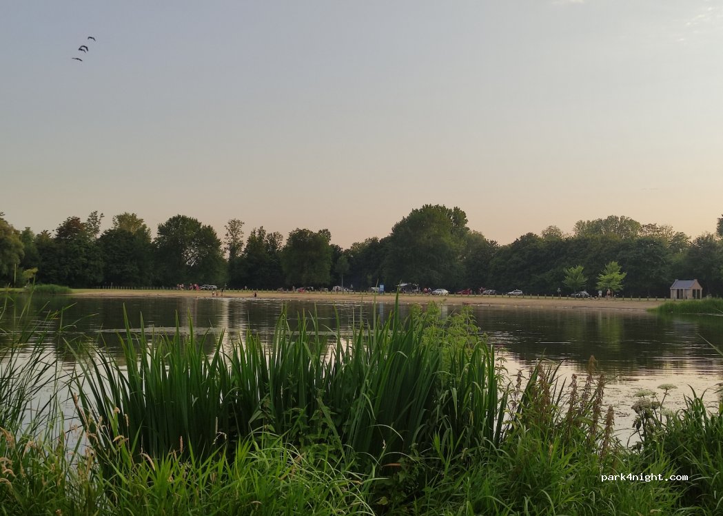 (2665 KR) Bleiswijk - Kooilaan — foto 3