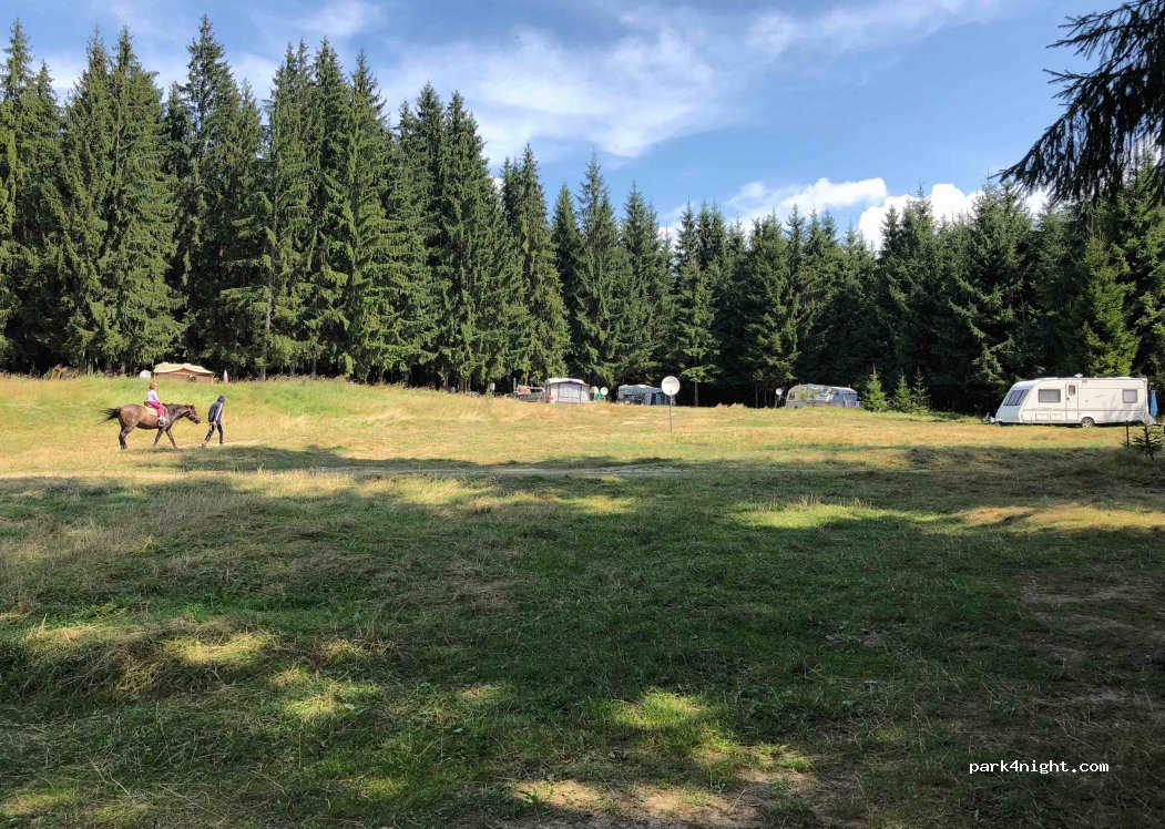 (725700) Vatra Dornei - 19 Strada Runc — foto 3
