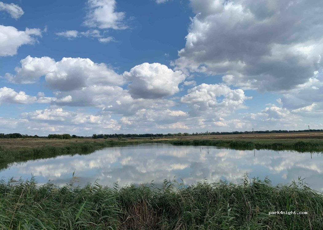 (346494) Novopersianovka - Unnamed Road — foto 3