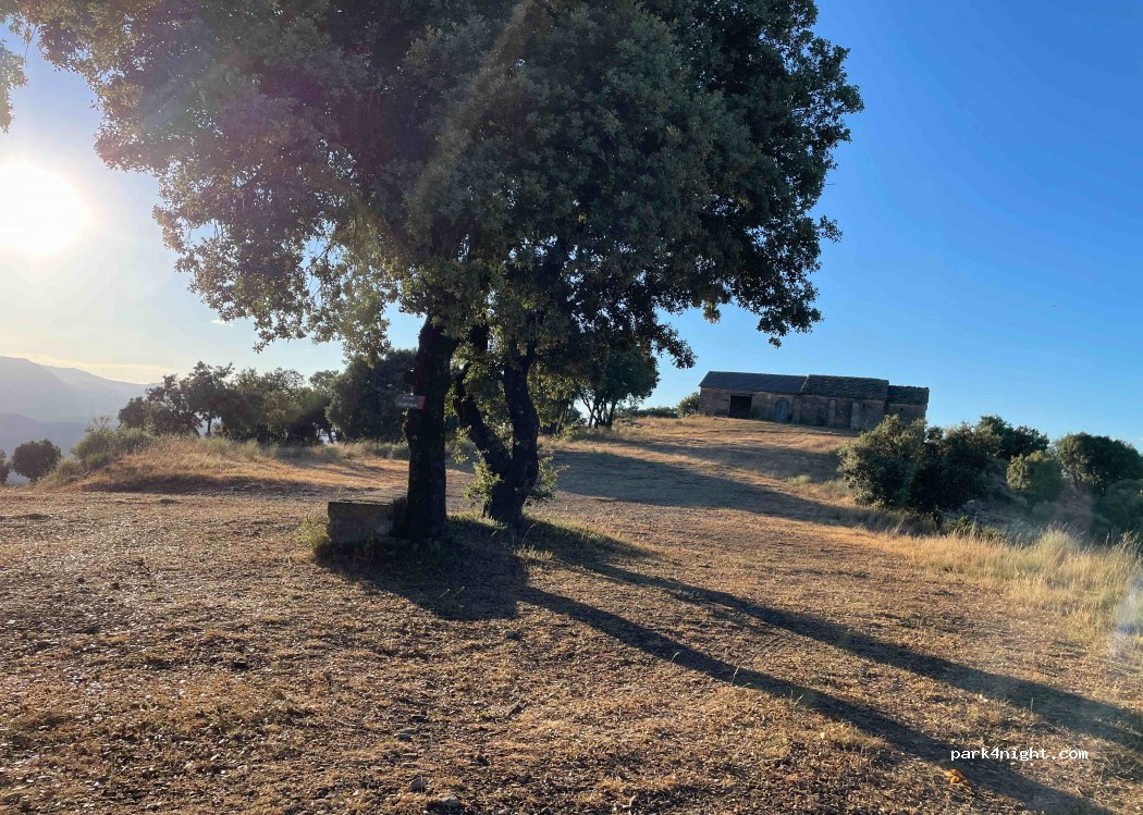 (22394) Olsón - Camino de Naval — foto