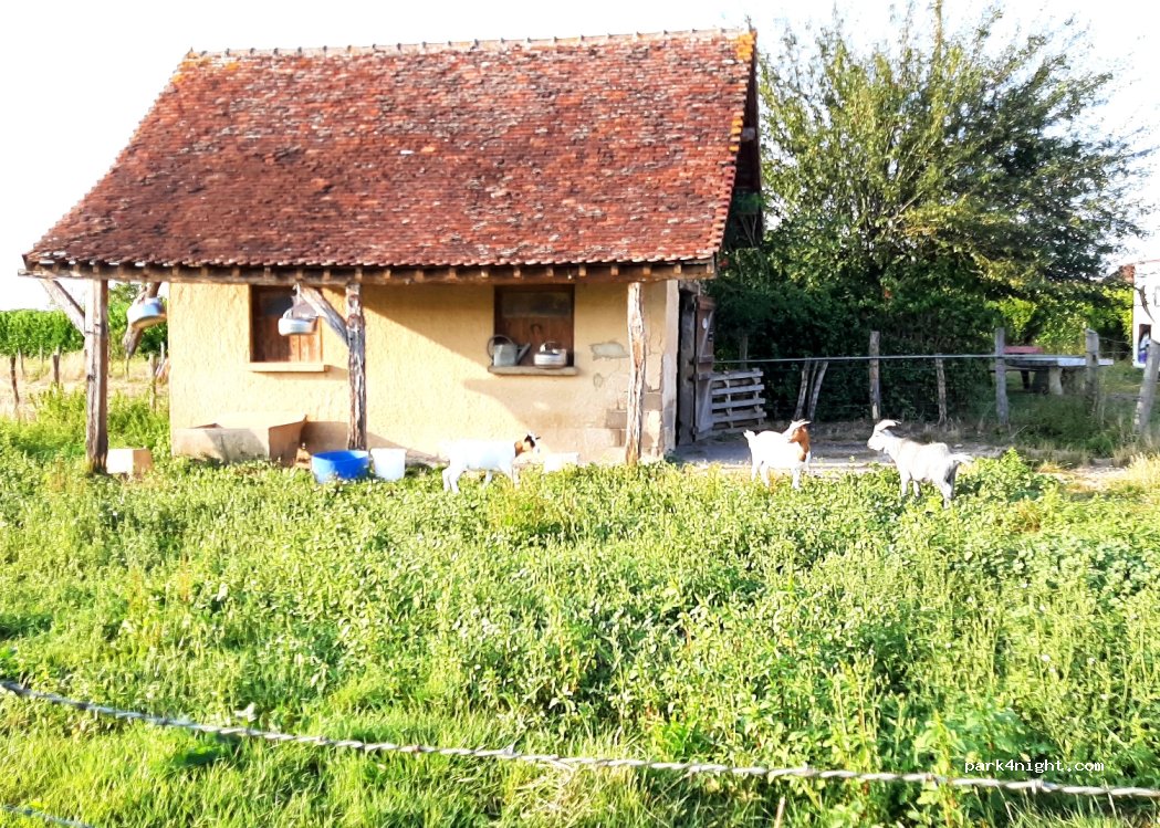 (89310) Nitry - 11 Chemin de Ronde — foto 3