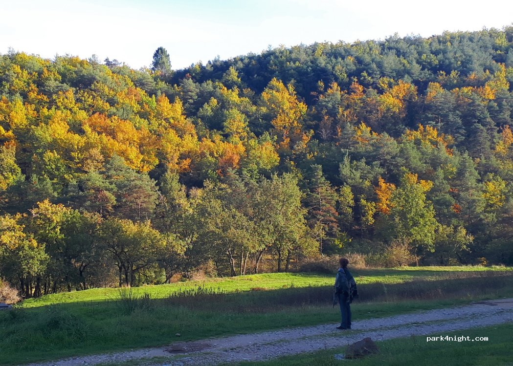camping de Valsaintes — foto 2
