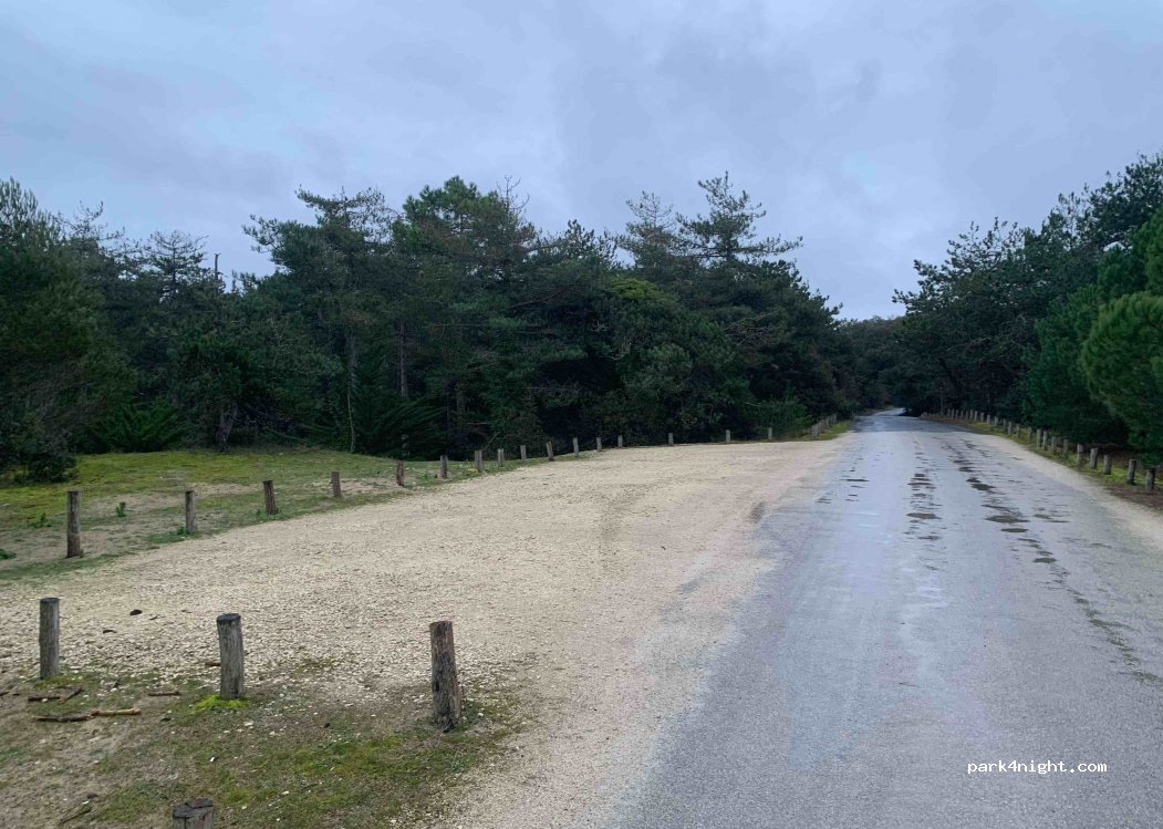 (17880) Les Portes-en-Ré - L'Ânesse — foto 3