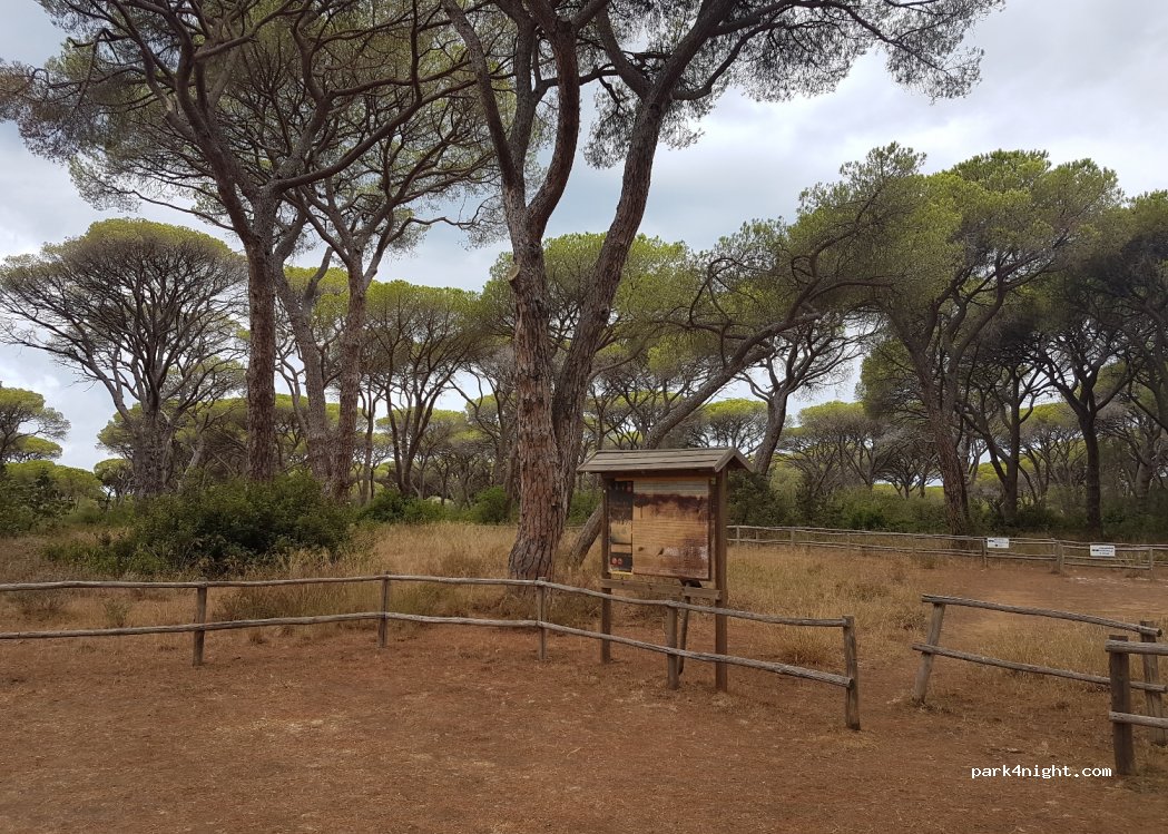 (58043) Tuscany - Unnamed Road — foto
