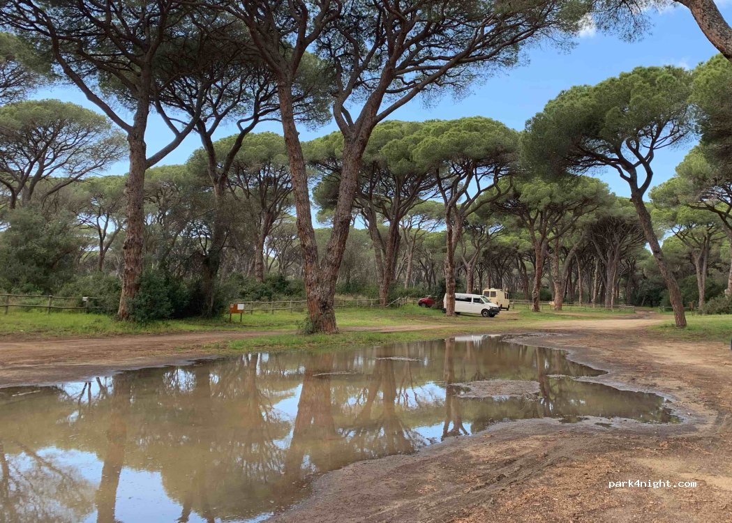 (58043) Tuscany - Unnamed Road — foto 4