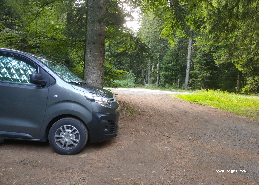 (63870) Chanat-la-Mouteyre - D559 — foto