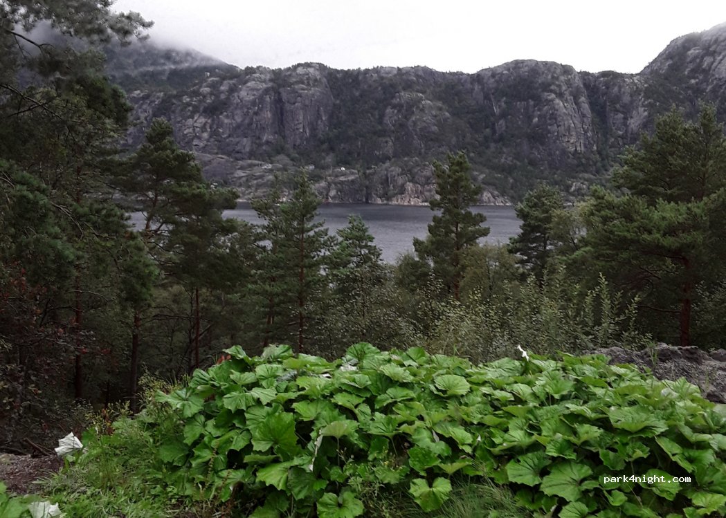 (4110) Forsand - 10 Skreddarvegen — foto