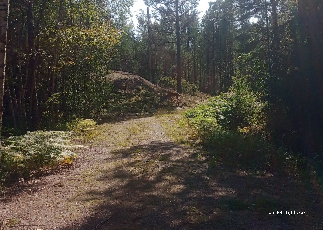(21710) Korppoo - 302 Korpoströmintie — foto