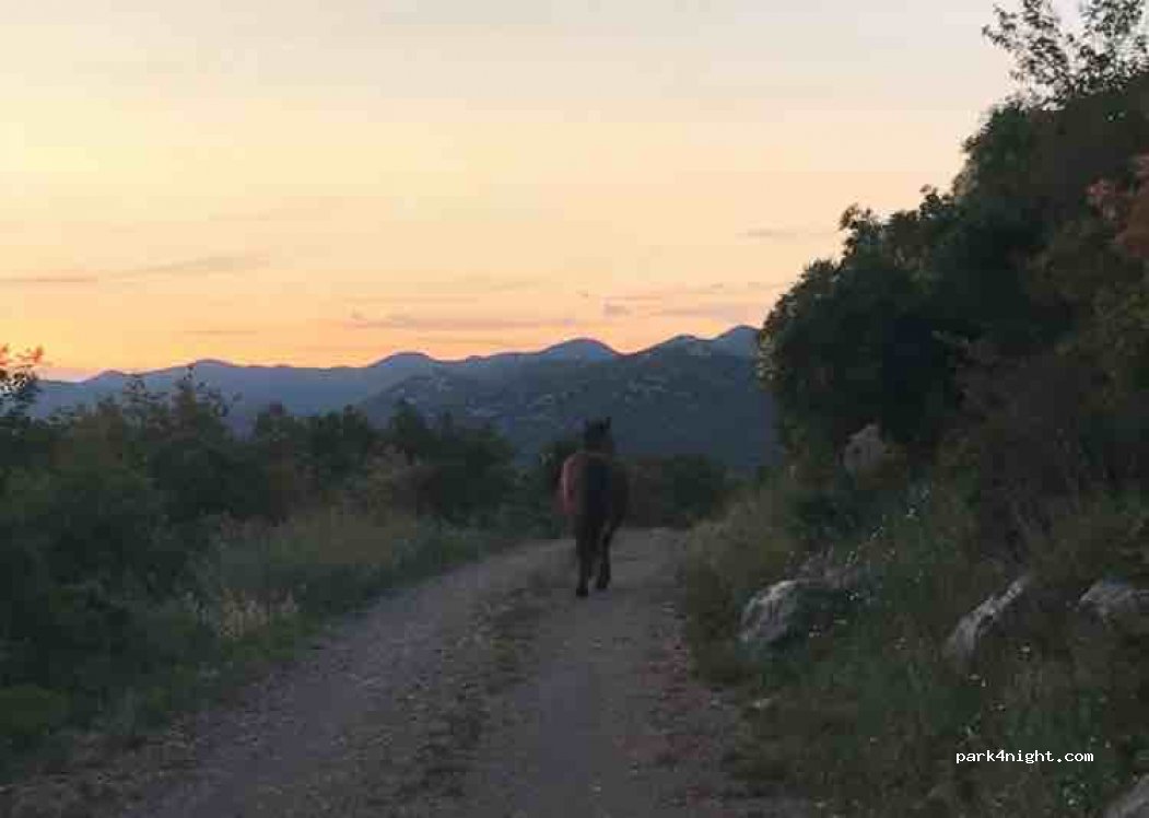 (51250) Ledenice - Unnamed Road — foto