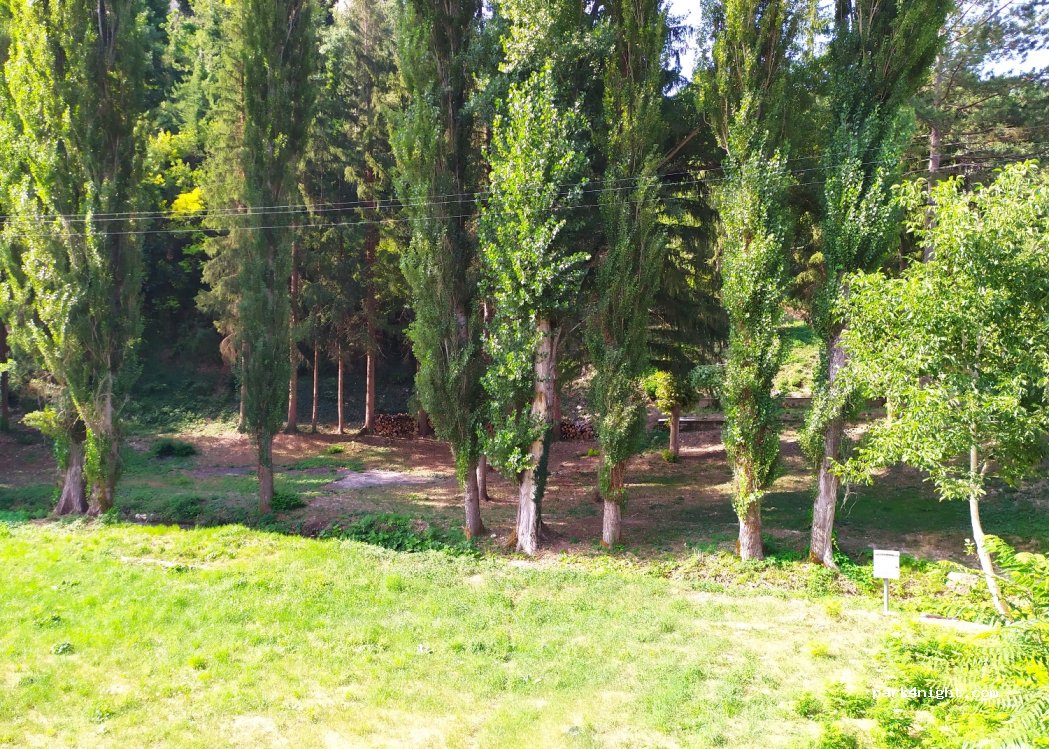 (06047) Preci - 34 Via Alcide De Gasperi — foto 2