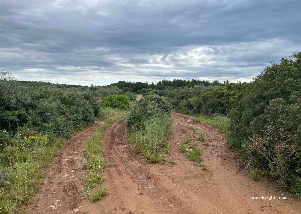 (34660) Cournonterral - Unnamed Road — foto 4