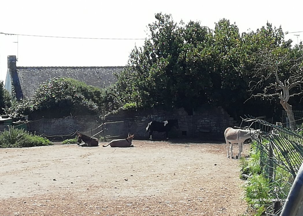 Camping à la Ferme — foto 3