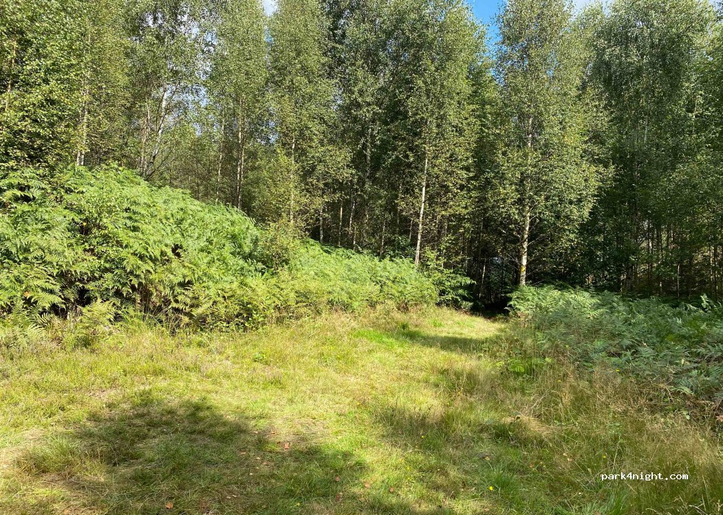(310 83) Unnaryd - Unnamed Road — foto 2