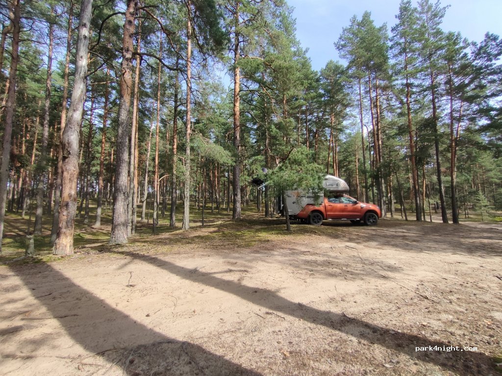 (66443) Druskininkų - Unnamed Road — foto