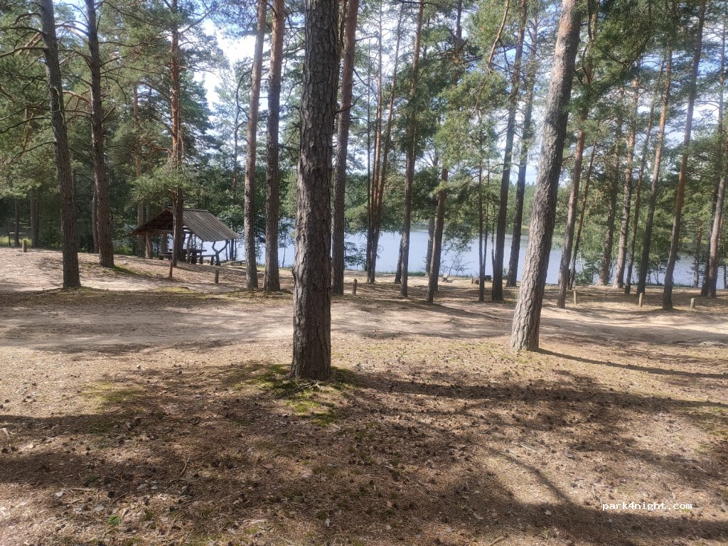 (66443) Druskininkų - Unnamed Road — foto 2