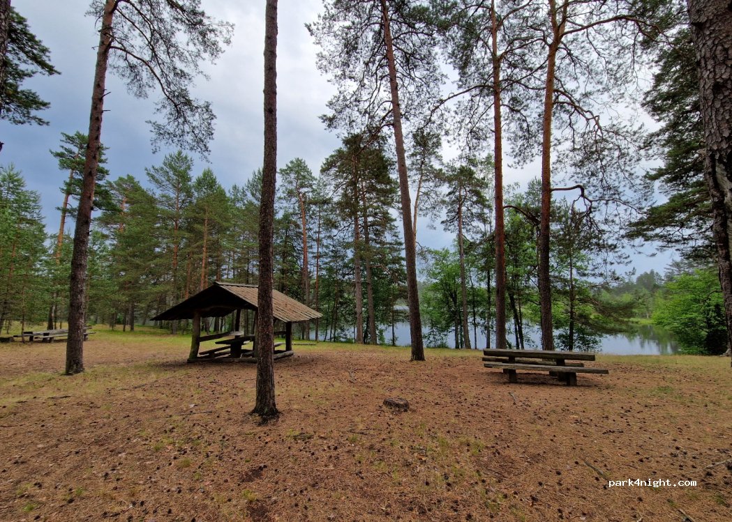 (66443) Druskininkų - Unnamed Road — foto 4
