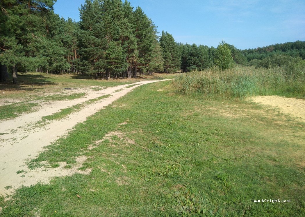 (391545) Timoshkino - Unnamed Road — foto 2