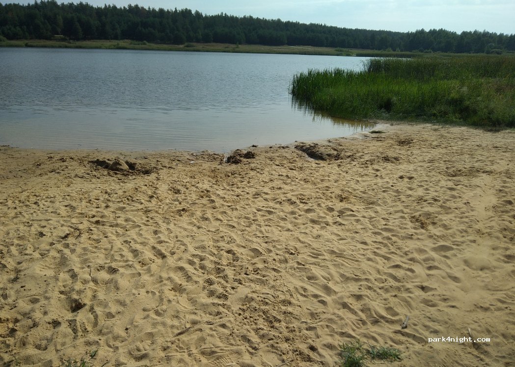 (391545) Timoshkino - Unnamed Road — foto 3