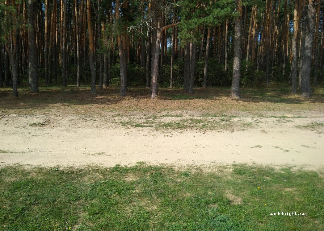 (391545) Timoshkino - Unnamed Road — foto 4