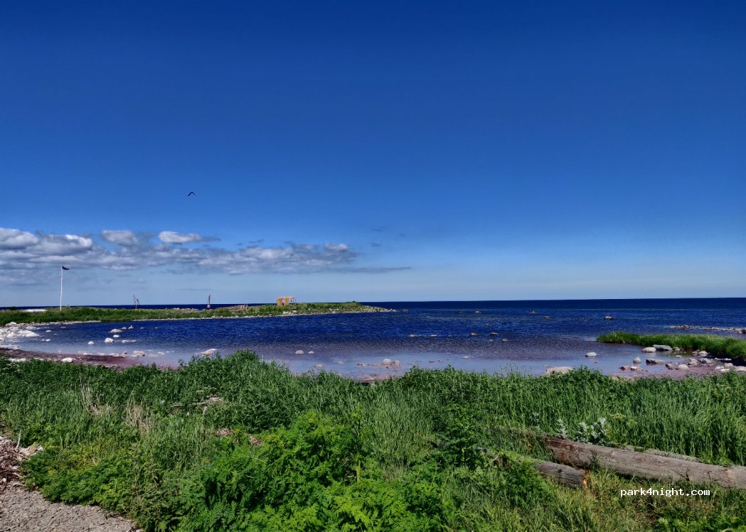 (380 62) Skärlöv - — foto