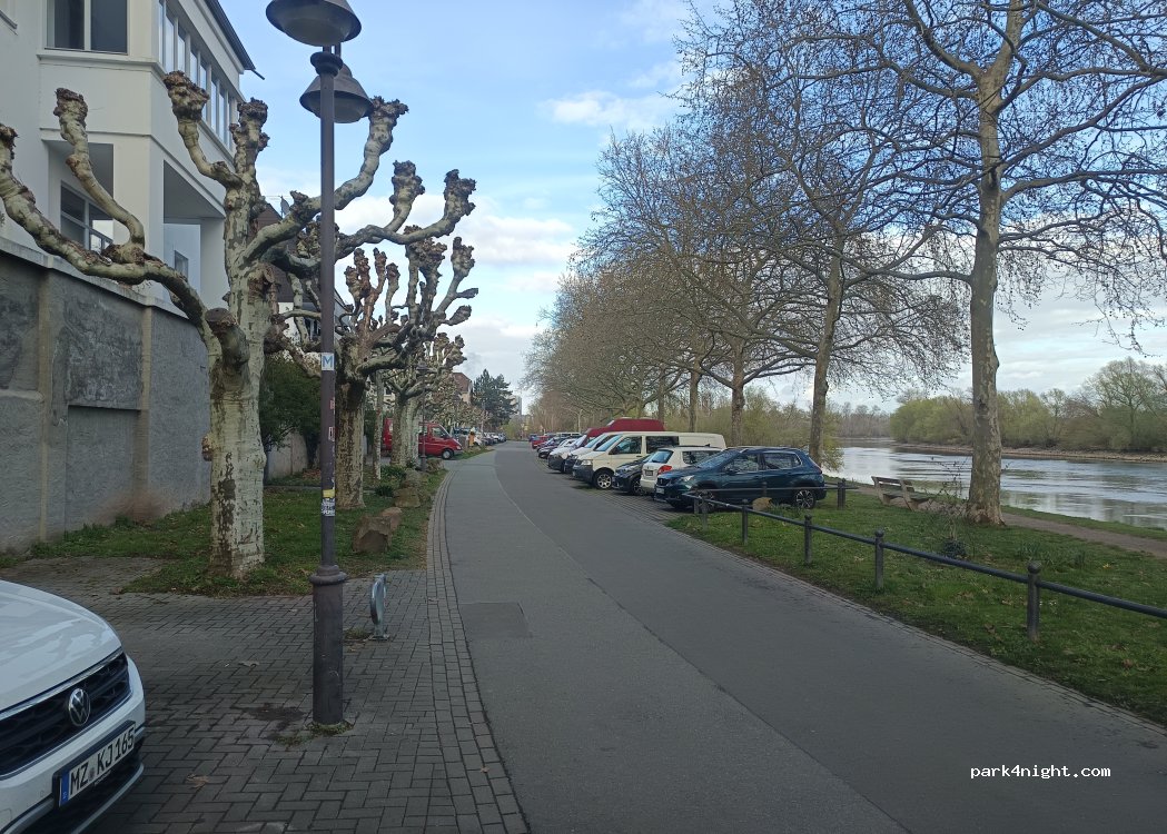 (55246) Wiesbaden - 12 Mainufer — foto 2