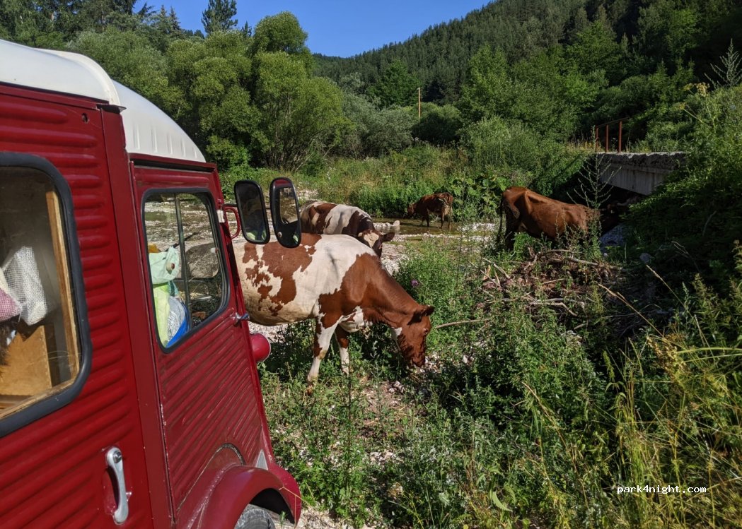 (71220) Trnovo - R442b — foto 2